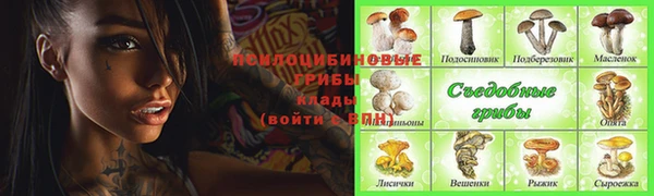 ALPHA-PVP Абинск