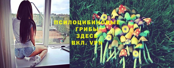 соль курить ск Алзамай
